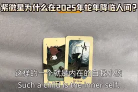 紫微星为什么在2025蛇年出现？ #塔罗 #塔罗测试 #阿紫 #紫微星视频封面