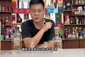 西凤酒已经被市场淹没的一款酒，西凤酒时尚6年#白酒 #西凤酒视频封面