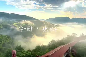 今日出梅#宁波今日出梅视频封面