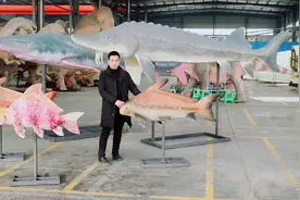 长江流域的一级保护动物中华鲟，白鲟，胭脂鱼#仿真模型 #仿真鱼视频封面