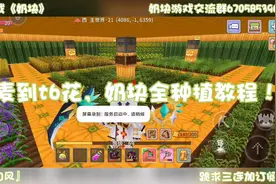 小麦到t6花，奶块全种植教程！