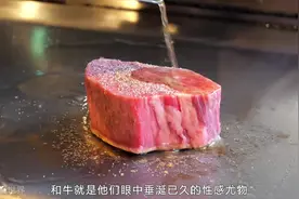 被称为牛肉中的爱马仕的和牛，一块A5级别的和牛就卖到两千元以上视频封面