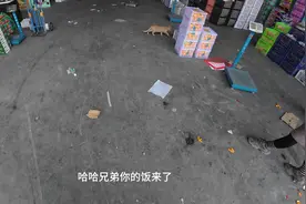 外卖日记之消失的电梯#外卖小哥 #日常vlog #第一视角 #憨憨视频封面