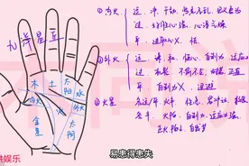 西洋九星丘 #手相面相 #识人术 #相学 #国学文化 #掌纹视频封面