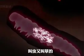 为什么牛🐂被杀前会流眼泪？#有趣的知识又增长了 #不可思议