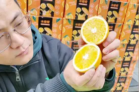 带你们了解一下农夫17.5橙， #很高兴认识你 ，交个朋友吧视频封面