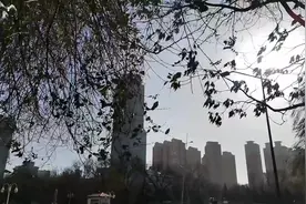 家里3人阳，昨晚头疼身上冷无力，打的安徽智飞，不发烧头疼视频封面