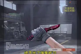 新军需瑞兔折刀值得抽吗？这个视频告诉你#暗区突围#瑞兔折刀