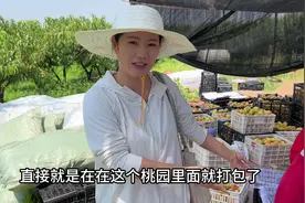 把家里的事交给弟弟，晨晨又来到枣阳，给大家带来超好吃的黄桃视频封面