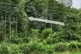 货运索道给电力行业和国家林业环境保护等还是做出了很大的贡献视频封面