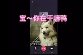 你的女友来了#虚拟情人 #聊天套路 #树洞 #声控视频封面