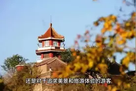 香山#北京旅游攻略视频封面