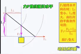 杠杆动态平衡（2#初中物理 #抖进科学 #在家就能做的小实验推荐视频封面