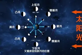 月相的变化#月相图#月亮视频封面