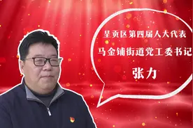 聚焦呈贡两会 | 【履职这一年】过去一年，代表张力围绕“3815视频封面