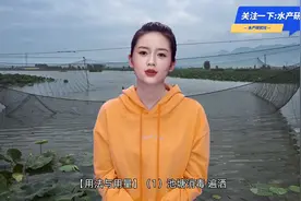 高锰酸钾在水产养殖中的各种用法用量您真的了解吗？视频封面
