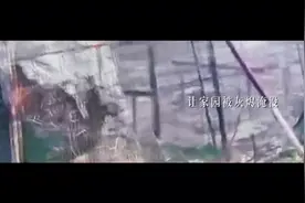 文明祭祀，安全为要#清明 #防火安全视频封面