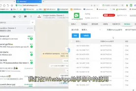 WhatsApp外贸客户开发工具 #跨境电商  #whatsapp使用教程