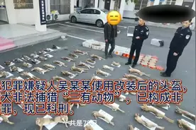 发抖音被警察盯上了，一细查居然非法捕捉了79只“三有动物”视频封面