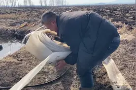 24年春季稻花香，春耕正式开始，准备给大家刨山葱苗视频封面