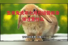 生肖兔，虎年七月份运势和身体注意什么！#生肖文化 #生肖兔运势视频封面