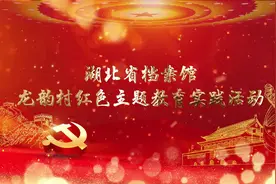 湖北省档案馆党员干部走进龙韵村——不忘红色初心 汲取奋进力量视频封面