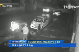 朔城区多个村庄连续发生多起羊和毛驴被盗！#盗窃 #警民dou平安视频封面