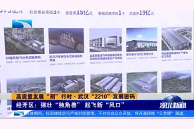 武汉经开区：强壮“独角兽” 起飞新“风口”视频封面
