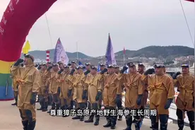 见证，野生，獐子岛野生海参冬季采捕活动，带大家看看 #野生海捕视频封面