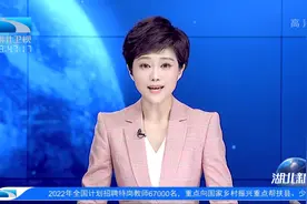 内外联动 湖北国际“朋友圈”越来越大视频封面