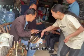 蜈蚣又涨价了，玉姐把珍藏几天的大货拿出来卖，这蜈蚣太值钱了视频封面