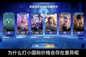 为什么小国标价格有差异，应该如何选择才能避坑。#王者#小国标