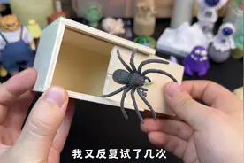 这个小盒子里面装的什么？不妨直接打开来看看吧！有可能是礼物呢视频封面