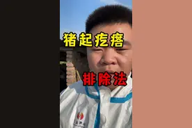 猪身上起疙瘩，4个方面排除法#一线兽医工作者 #所有养猪人视频封面