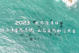 世界海洋日｜保护海洋生态系统 人与自然和谐共生视频封面