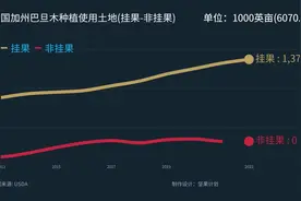 美国加州巴旦木挂果树和非挂果树种植面积对比。 #坚果计划视频封面