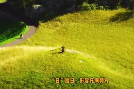 云南方言博大精深，被人骂“日脓包”，你先不要生气