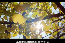 逆光出大片，遇到阳光的天气千万不要错过这个角度#手机摄影视频封面