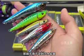 鲈鱼水层分布较广，基本2米到40米纵向分布，尤其在冬季水温变化