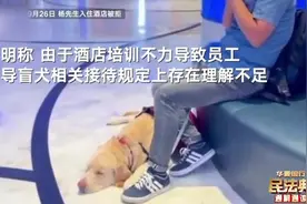 合法啦！11月起，持证#导盲犬可以进入公共场所！
【视频封面