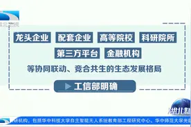 武汉成为全国供应链示范和试点双城视频封面