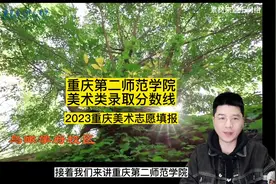 重庆第二师范学院美术招生计划及录取线讲解#美术生 #志愿填报视频封面