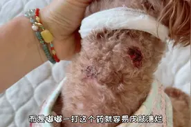 完了完了，嘟嘟又长了两个血窟窿，这次居然是老姑整的视频封面