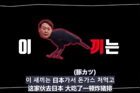 b站超火的《狗韩奸/这崽子/勾罕见》韩国总统尹锡悦“应援歌”视频封面