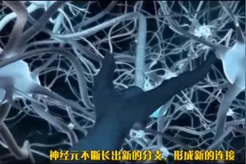 太不可思议了！你的每个细胞原来都在为了你能活着而无限努力着