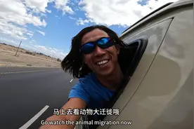 2022年6月在非洲大陆看动物大迁徙#环球航行#中国船长#环球旅行视频封面