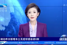 湖北昨日新增本土无症状感染者6例视频封面