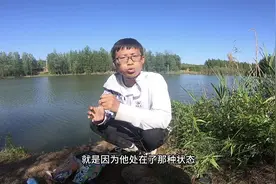 野钓鲤鱼还在死守？学会这个套路，下杆鲤鱼追着钩咬 #钓鱼技巧视频封面