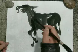 驴的叫声在动物之中是最大的视频封面