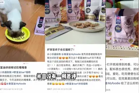 这里面有你家主子吗？感谢大家的试吃反馈